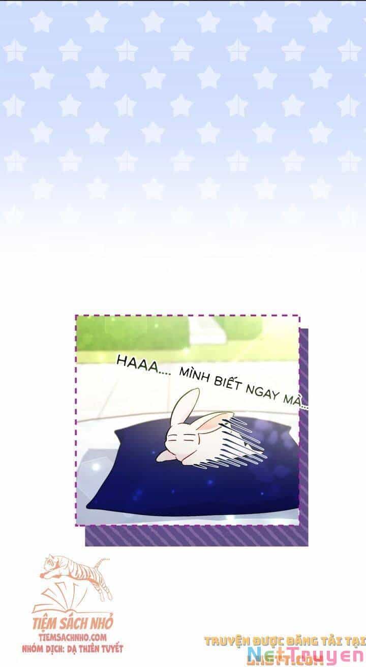 Mối Quan Hệ Cộng Sinh Giữa Báo Đen Và Thỏ Trắng - Chương 56 - ảnh 32