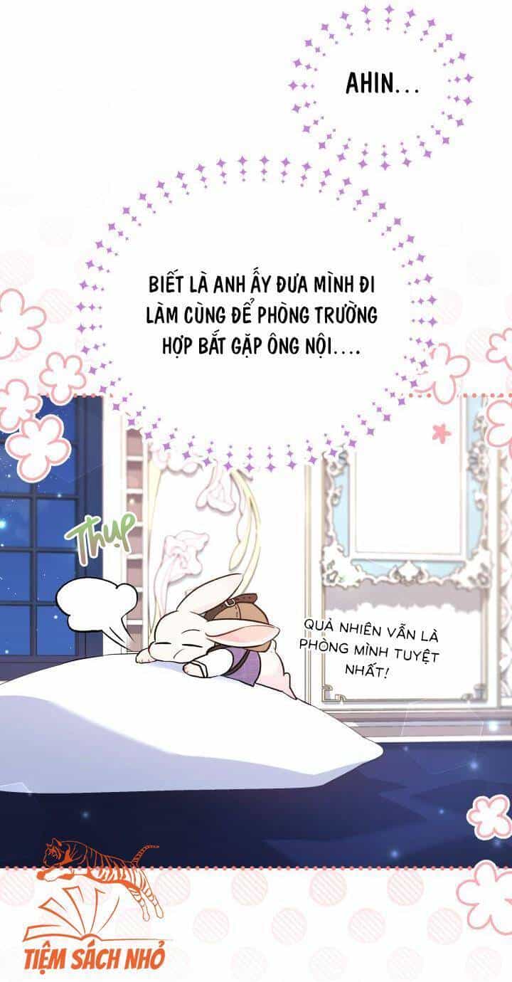 Mối Quan Hệ Cộng Sinh Giữa Báo Đen Và Thỏ Trắng - Chương 57 - ảnh 5