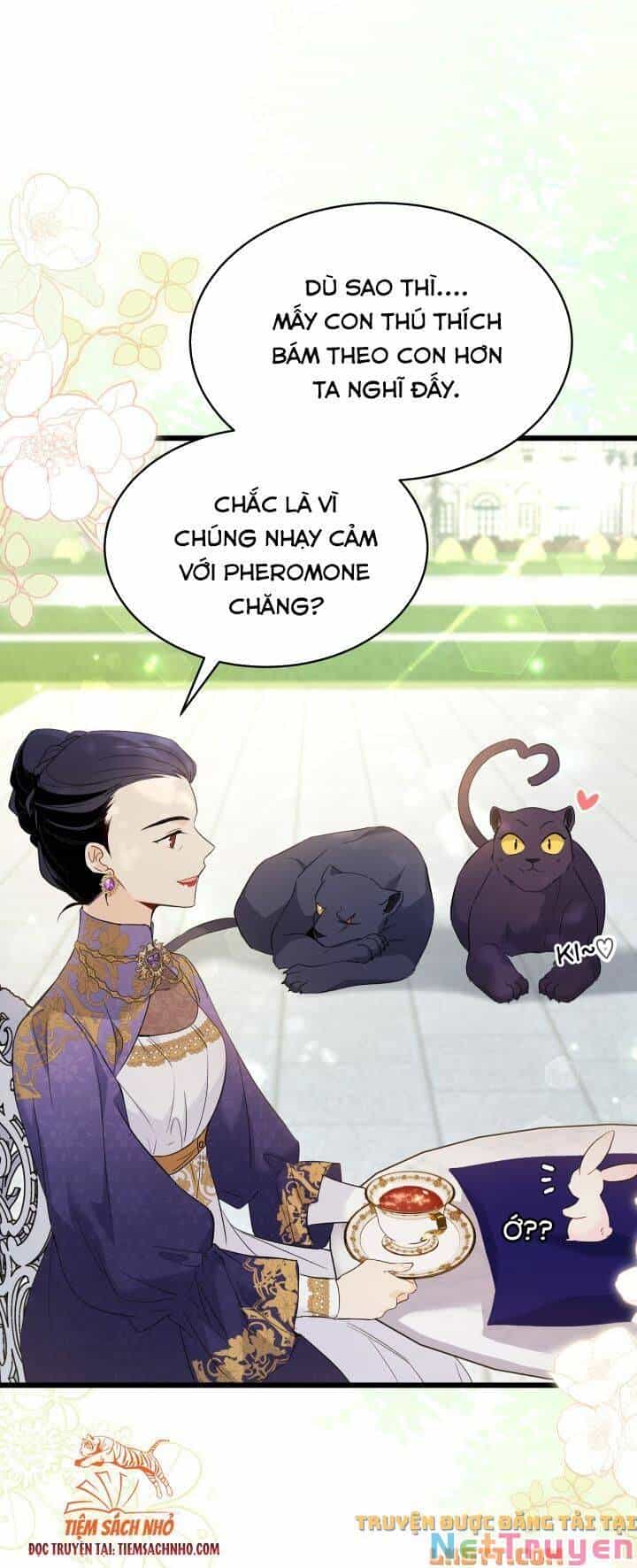 Mối Quan Hệ Cộng Sinh Giữa Báo Đen Và Thỏ Trắng - Chương 58 - ảnh 10