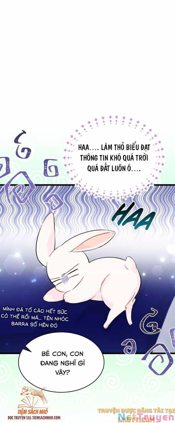 Mối Quan Hệ Cộng Sinh Giữa Báo Đen Và Thỏ Trắng - Chương 58 - ảnh 20