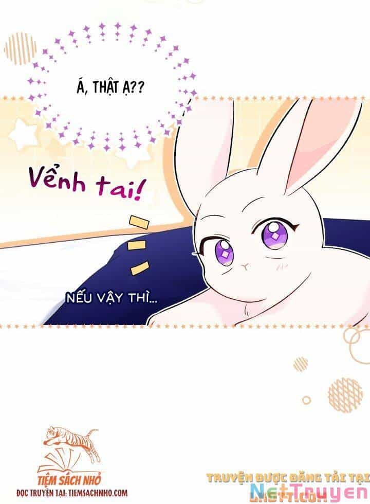 Mối Quan Hệ Cộng Sinh Giữa Báo Đen Và Thỏ Trắng - Chương 58 - ảnh 22