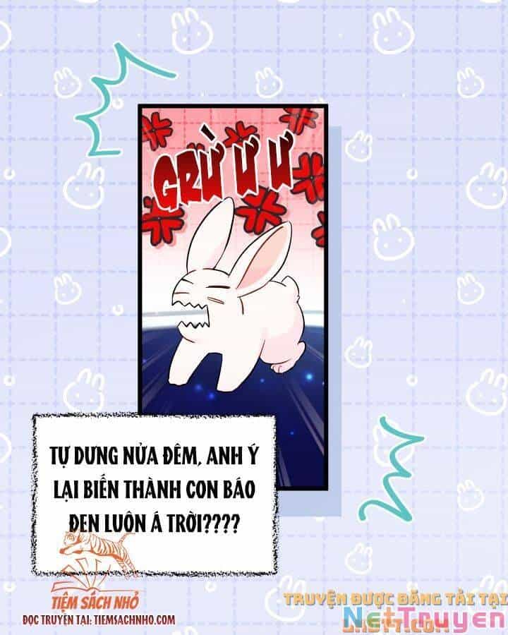 Mối Quan Hệ Cộng Sinh Giữa Báo Đen Và Thỏ Trắng - Chương 58 - ảnh 25