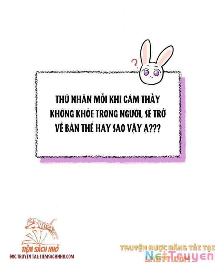 Mối Quan Hệ Cộng Sinh Giữa Báo Đen Và Thỏ Trắng - Chương 58 - ảnh 27