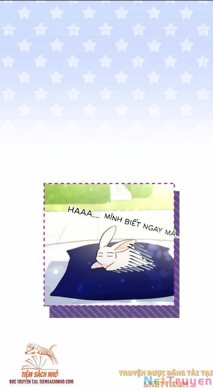Mối Quan Hệ Cộng Sinh Giữa Báo Đen Và Thỏ Trắng - Chương 58 - ảnh 32