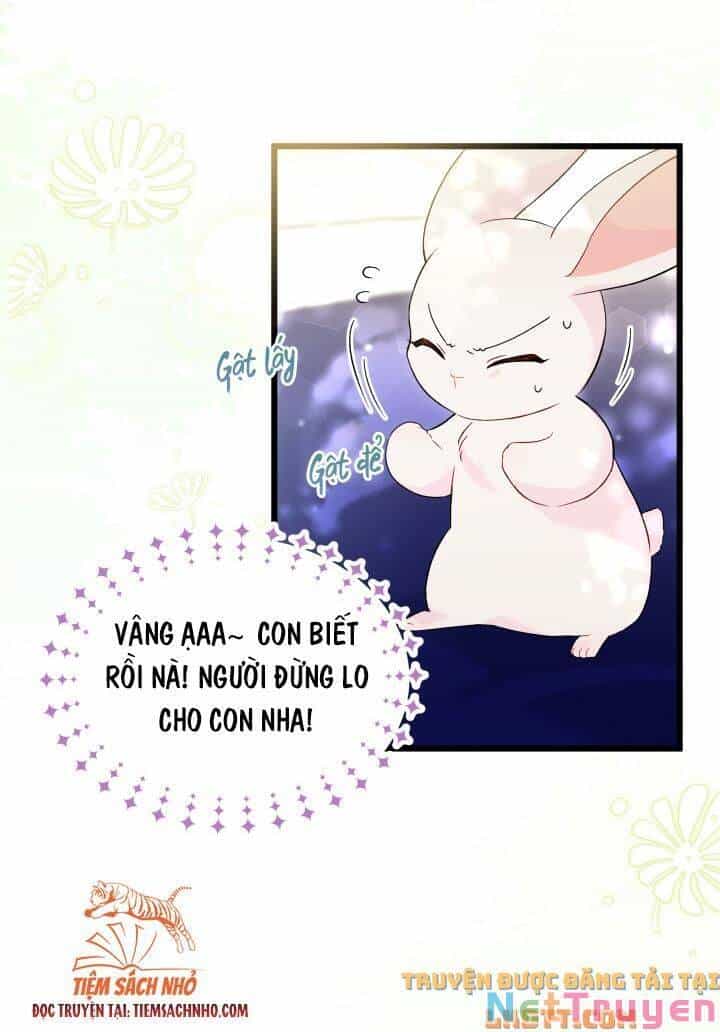 Mối Quan Hệ Cộng Sinh Giữa Báo Đen Và Thỏ Trắng - Chương 58 - ảnh 9