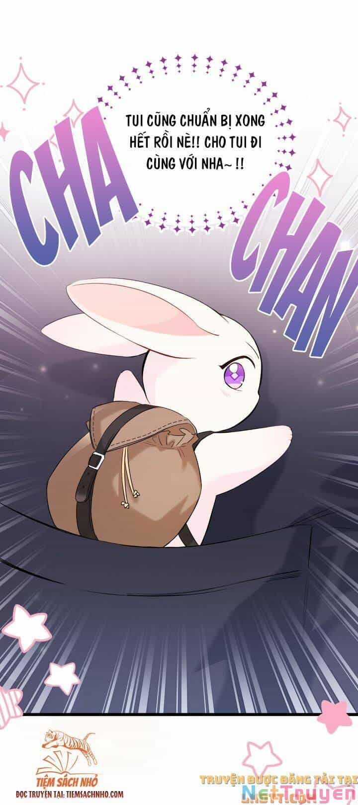 Mối Quan Hệ Cộng Sinh Giữa Báo Đen Và Thỏ Trắng - Chương 59 - ảnh 19