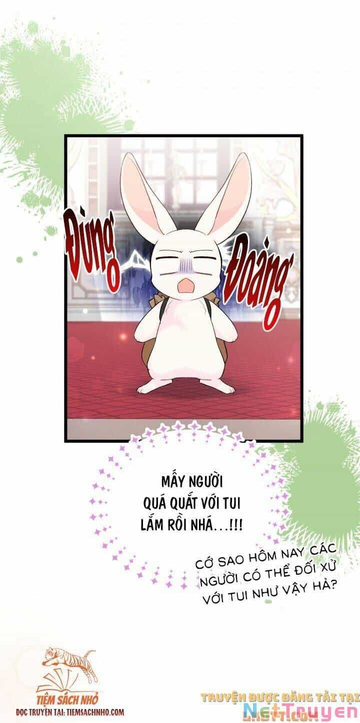 Mối Quan Hệ Cộng Sinh Giữa Báo Đen Và Thỏ Trắng - Chương 59 - ảnh 33