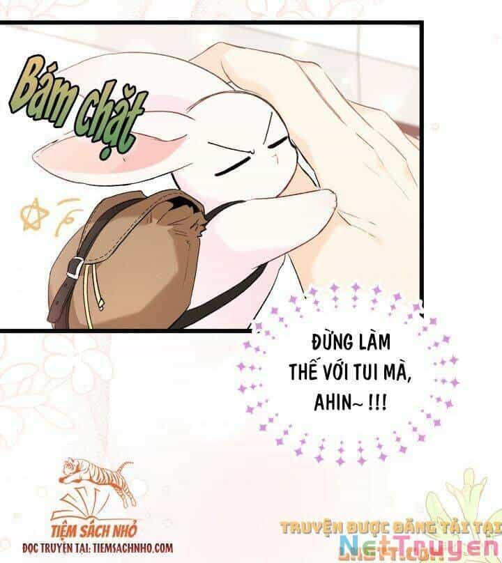 Mối Quan Hệ Cộng Sinh Giữa Báo Đen Và Thỏ Trắng - Chương 59 - ảnh 39
