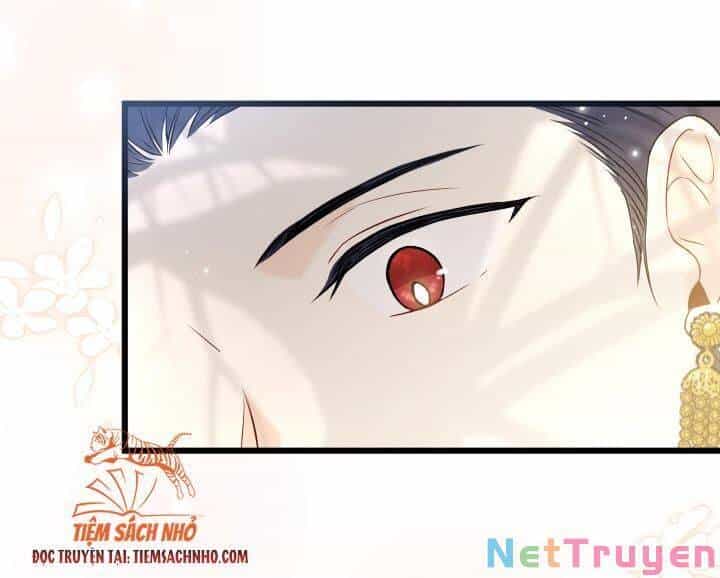 Mối Quan Hệ Cộng Sinh Giữa Báo Đen Và Thỏ Trắng - Chương 61 - ảnh 14