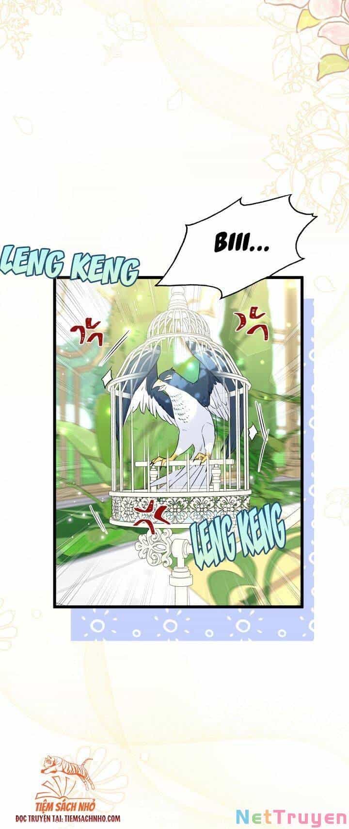 Mối Quan Hệ Cộng Sinh Giữa Báo Đen Và Thỏ Trắng - Chương 61 - ảnh 4