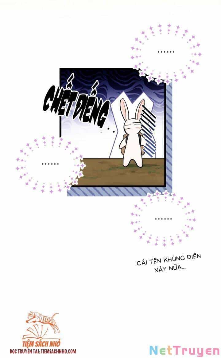 Mối Quan Hệ Cộng Sinh Giữa Báo Đen Và Thỏ Trắng - Chương 61 - ảnh 49