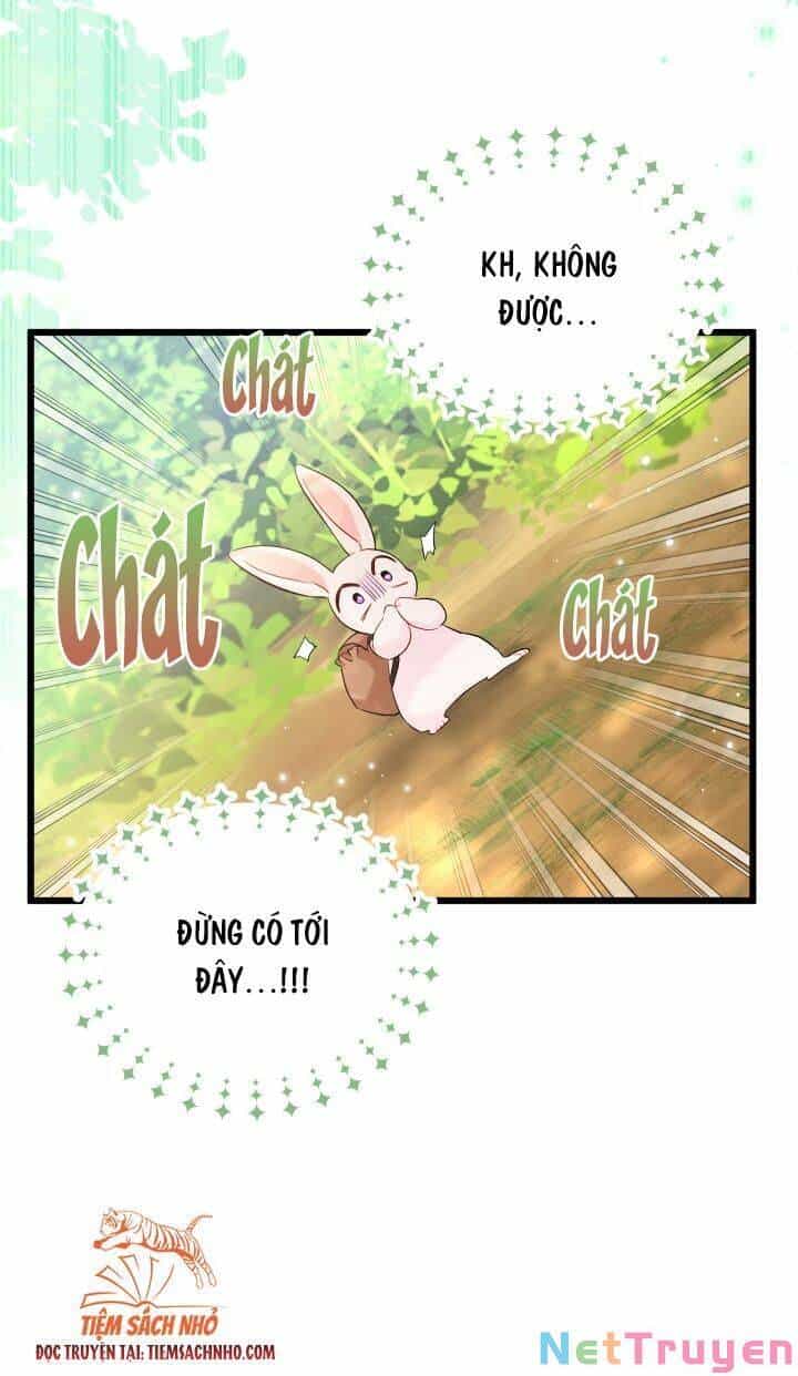 Mối Quan Hệ Cộng Sinh Giữa Báo Đen Và Thỏ Trắng - Chương 61 - ảnh 65