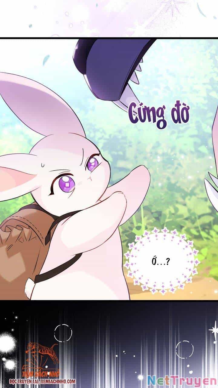 Mối Quan Hệ Cộng Sinh Giữa Báo Đen Và Thỏ Trắng - Chương 61 - ảnh 68
