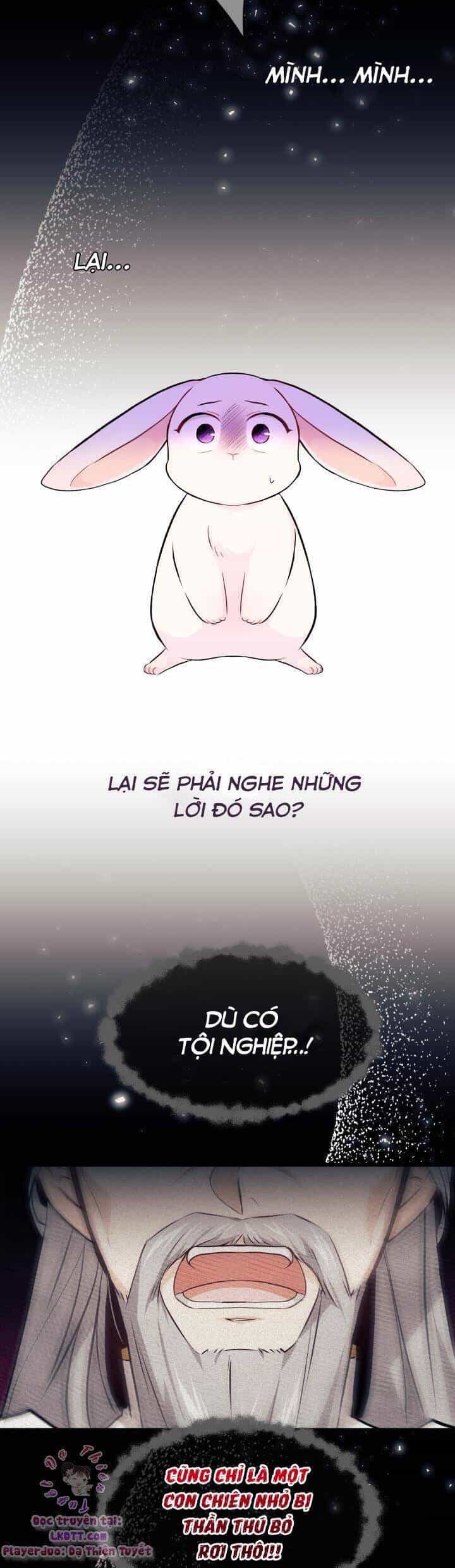 Mối Quan Hệ Cộng Sinh Giữa Báo Đen Và Thỏ Trắng - Chương 7 - ảnh 17