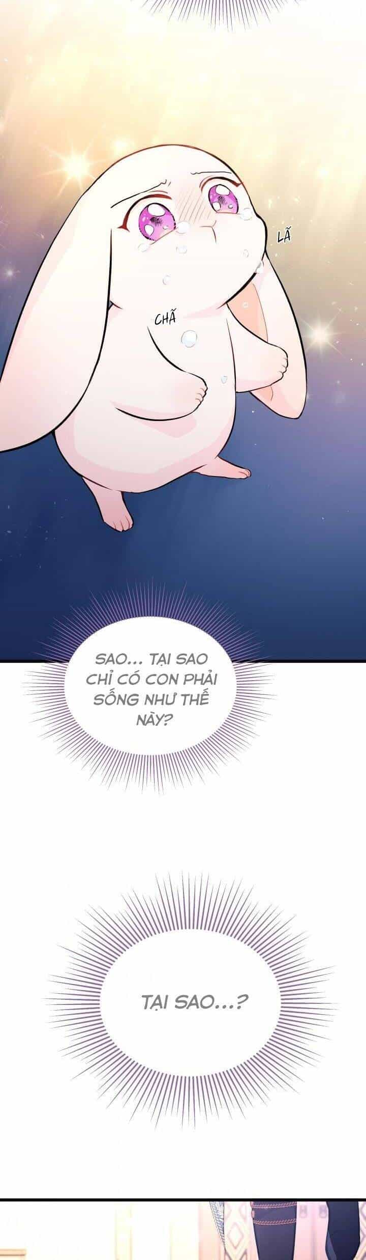 Mối Quan Hệ Cộng Sinh Giữa Báo Đen Và Thỏ Trắng - Chương 7 - ảnh 24