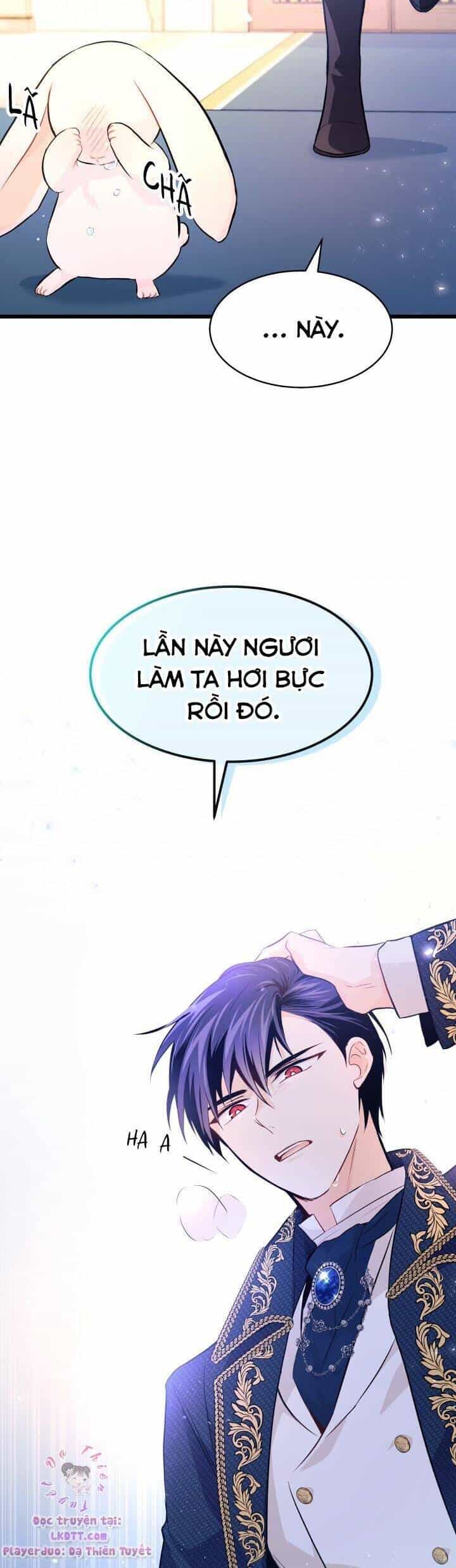 Mối Quan Hệ Cộng Sinh Giữa Báo Đen Và Thỏ Trắng - Chương 7 - ảnh 25