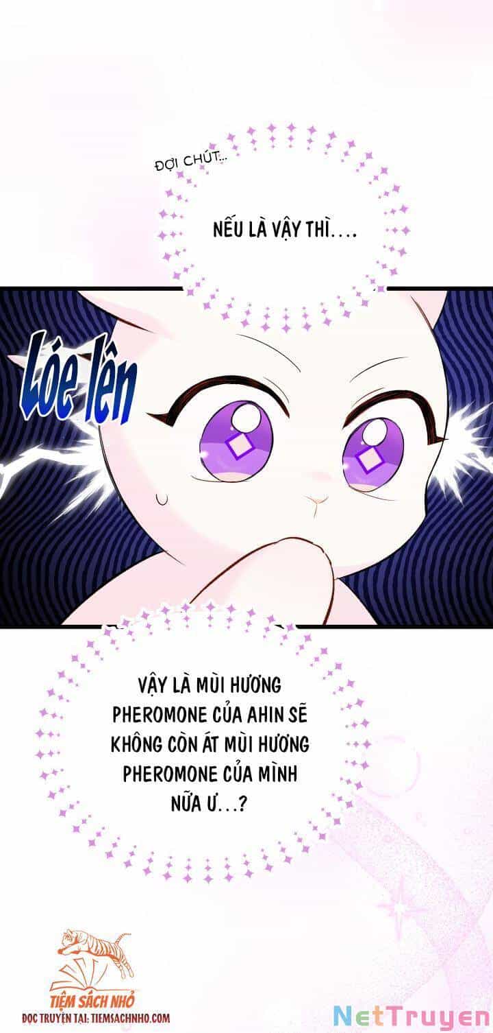 Mối Quan Hệ Cộng Sinh Giữa Báo Đen Và Thỏ Trắng - Chương 63 - ảnh 13