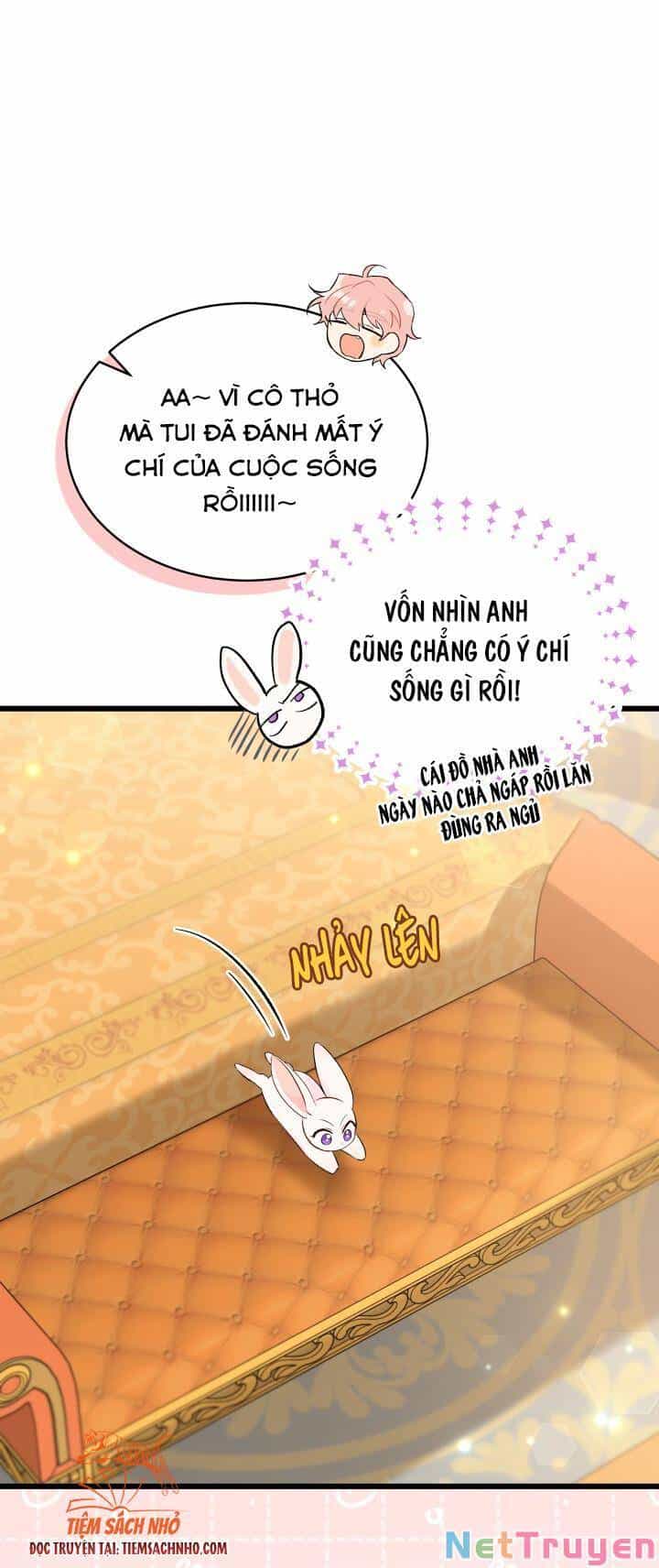 Mối Quan Hệ Cộng Sinh Giữa Báo Đen Và Thỏ Trắng - Chương 63 - ảnh 20