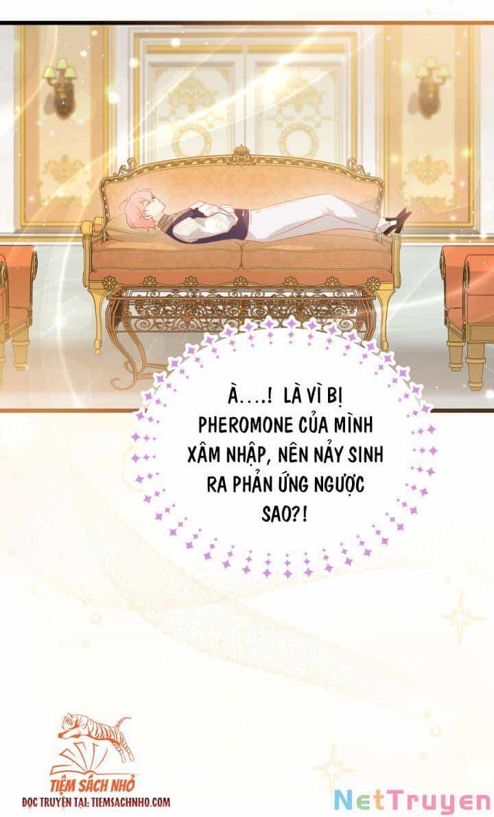 Mối Quan Hệ Cộng Sinh Giữa Báo Đen Và Thỏ Trắng - Chương 63 - ảnh 29