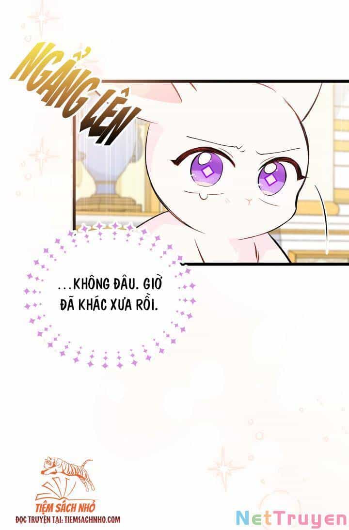 Mối Quan Hệ Cộng Sinh Giữa Báo Đen Và Thỏ Trắng - Chương 63 - ảnh 39