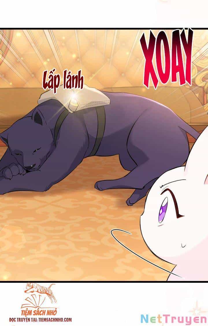 Mối Quan Hệ Cộng Sinh Giữa Báo Đen Và Thỏ Trắng - Chương 63 - ảnh 40