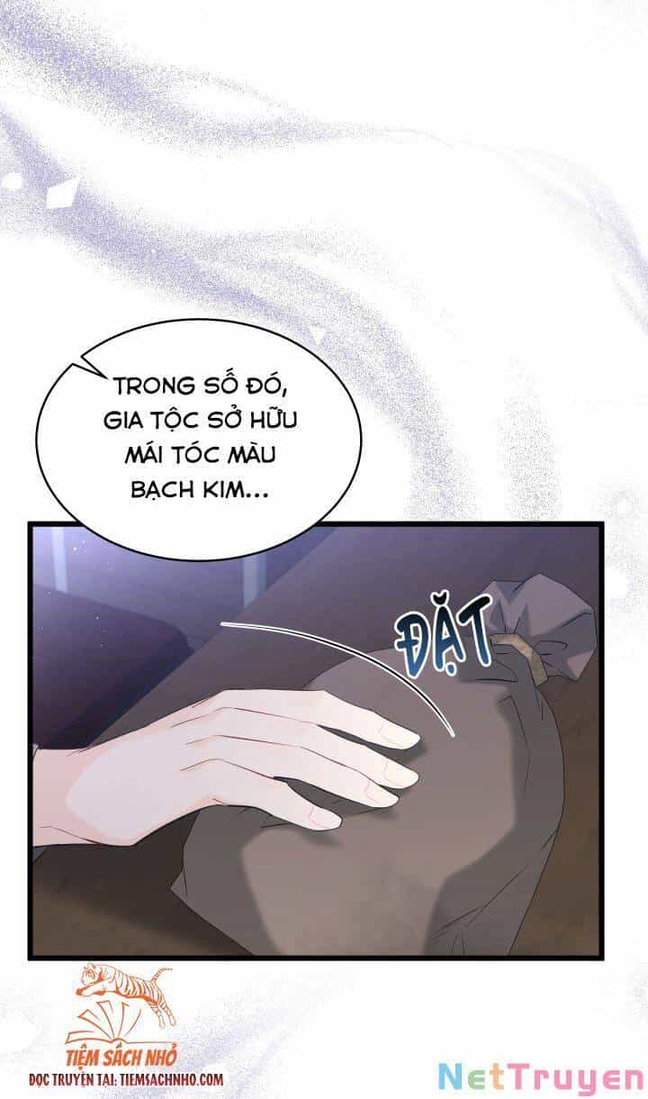 Mối Quan Hệ Cộng Sinh Giữa Báo Đen Và Thỏ Trắng - Chương 63 - ảnh 56