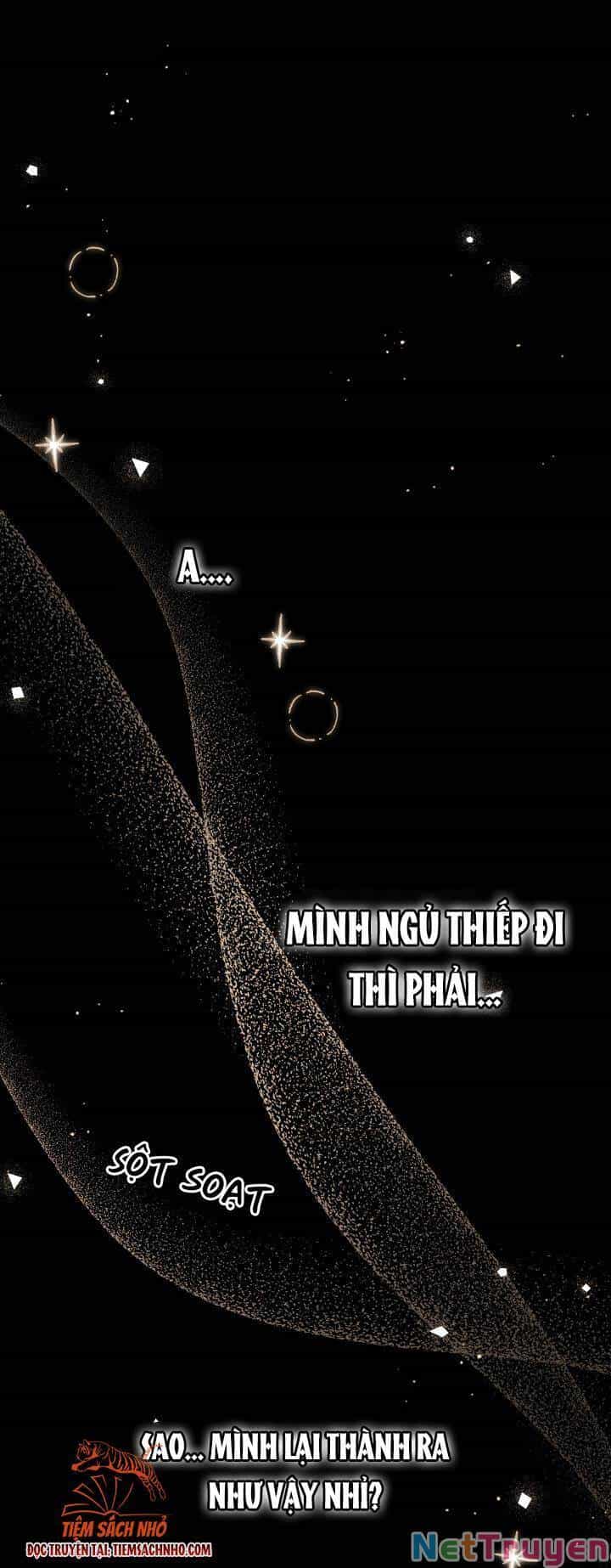 Mối Quan Hệ Cộng Sinh Giữa Báo Đen Và Thỏ Trắng - Chương 63 - ảnh 60