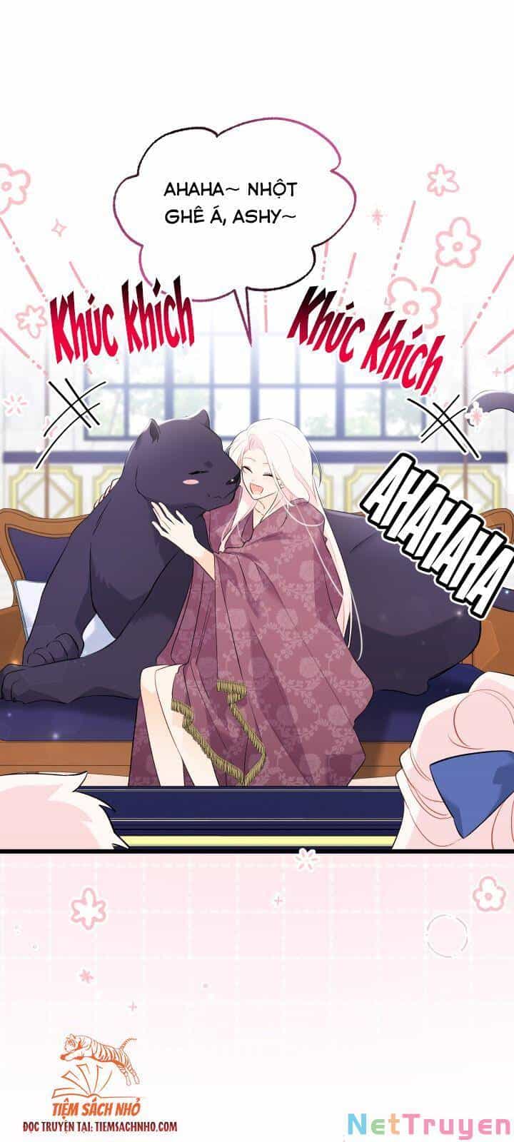 Mối Quan Hệ Cộng Sinh Giữa Báo Đen Và Thỏ Trắng - Chương 63 - ảnh 73