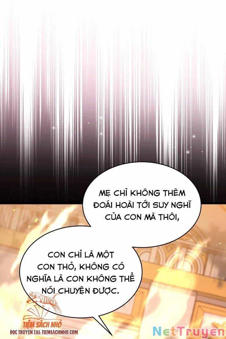 Mối Quan Hệ Cộng Sinh Giữa Báo Đen Và Thỏ Trắng - Chương 68 - ảnh 13