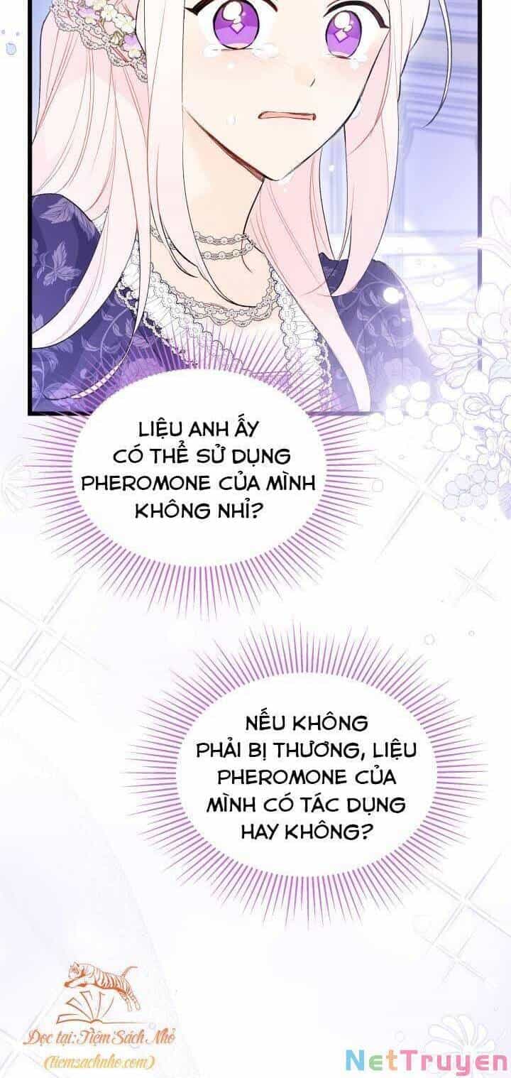 Mối Quan Hệ Cộng Sinh Giữa Báo Đen Và Thỏ Trắng - Chương 70 - ảnh 58