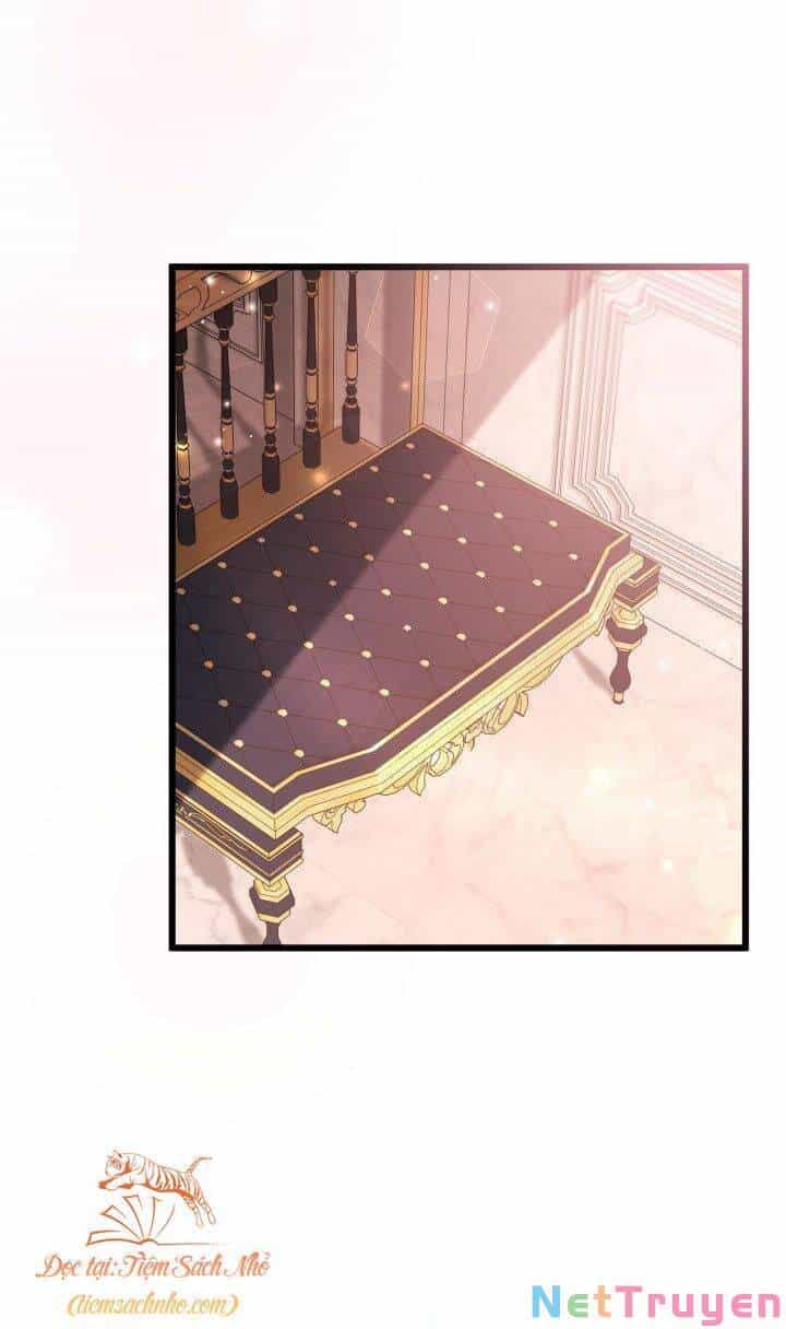 Mối Quan Hệ Cộng Sinh Giữa Báo Đen Và Thỏ Trắng - Chương 71 - ảnh 20