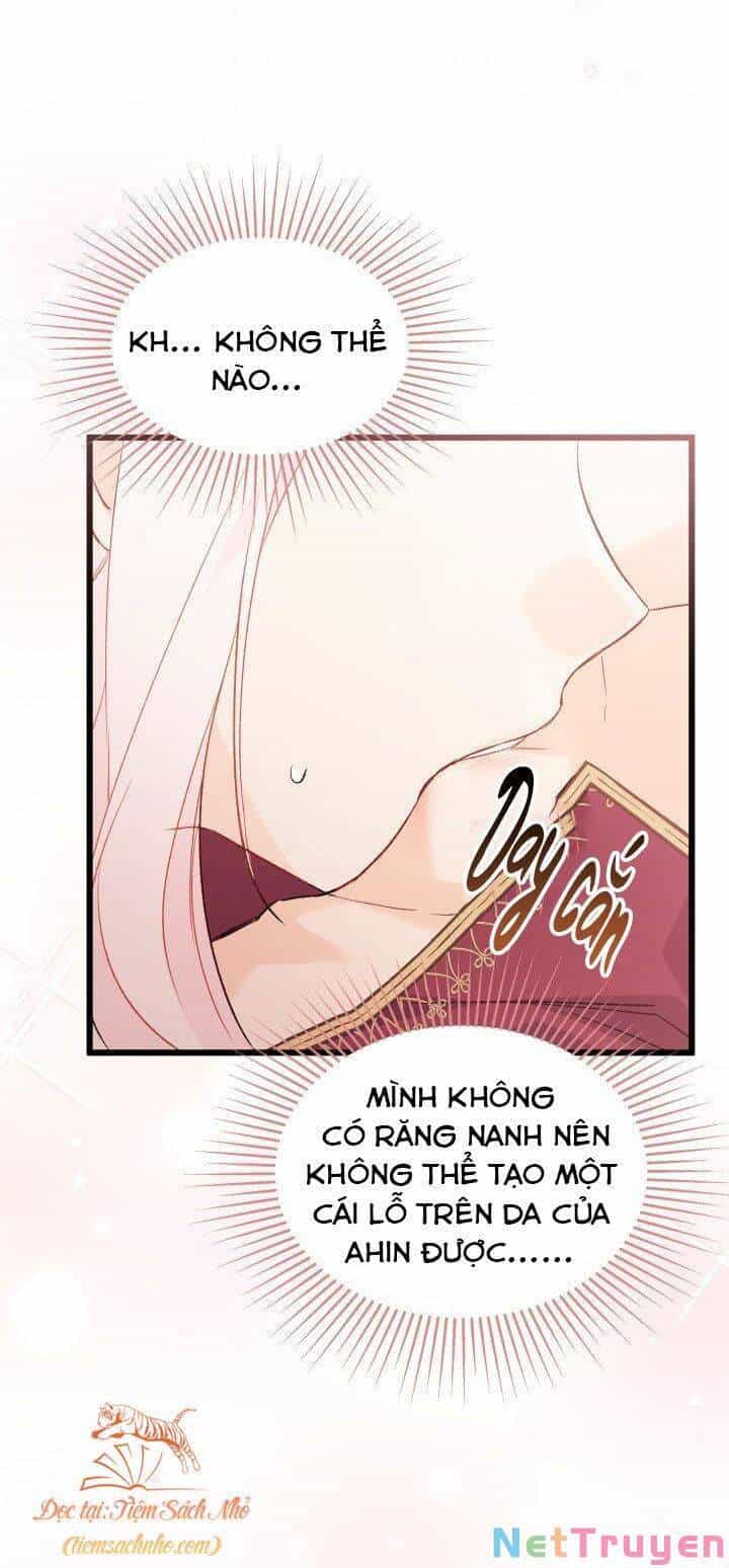 Mối Quan Hệ Cộng Sinh Giữa Báo Đen Và Thỏ Trắng - Chương 71 - ảnh 48