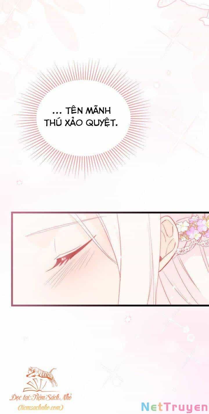 Mối Quan Hệ Cộng Sinh Giữa Báo Đen Và Thỏ Trắng - Chương 71 - ảnh 59