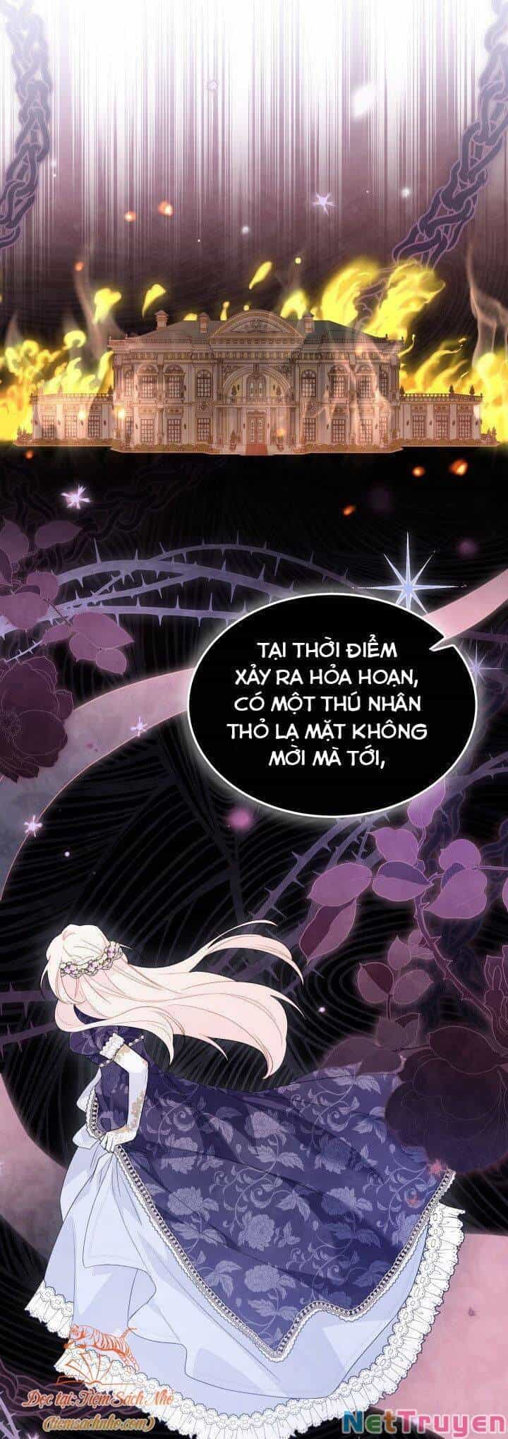 Mối Quan Hệ Cộng Sinh Giữa Báo Đen Và Thỏ Trắng - Chương 71 - ảnh 69