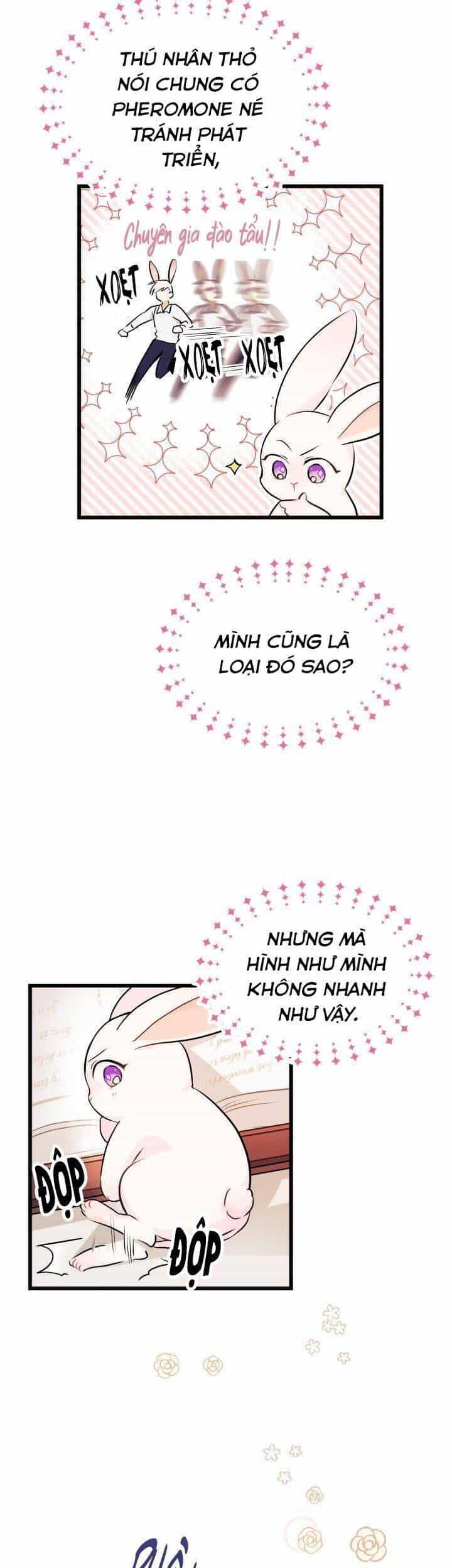 Mối Quan Hệ Cộng Sinh Giữa Báo Đen Và Thỏ Trắng - Chương 8 - ảnh 18