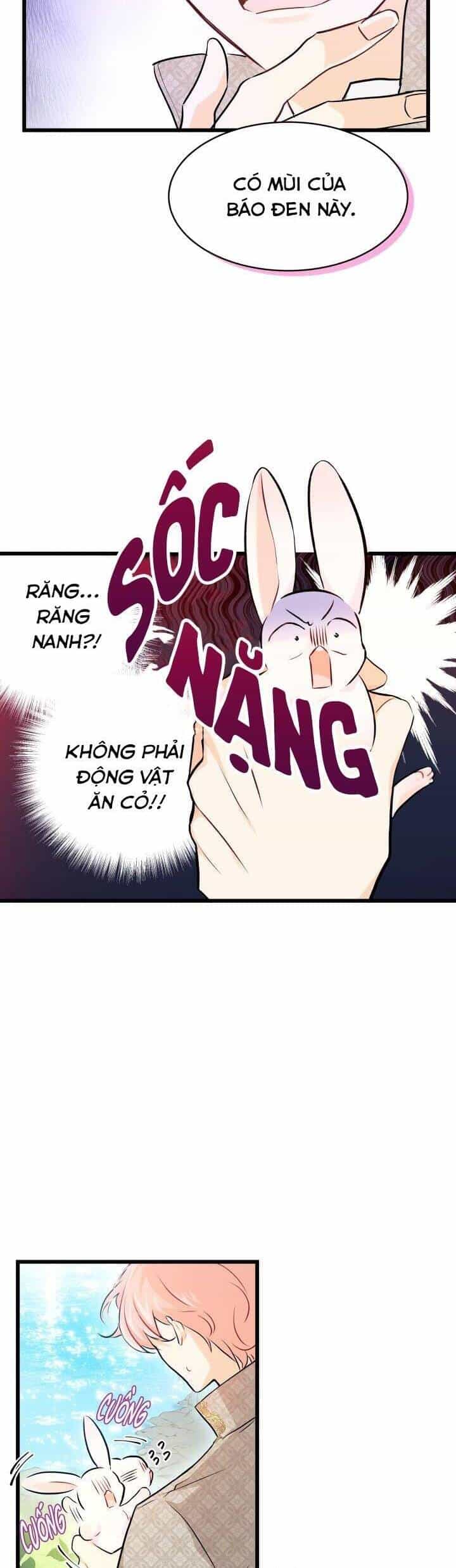 Mối Quan Hệ Cộng Sinh Giữa Báo Đen Và Thỏ Trắng - Chương 8 - ảnh 35