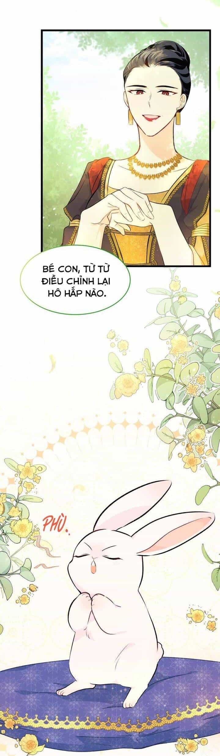 Mối Quan Hệ Cộng Sinh Giữa Báo Đen Và Thỏ Trắng - Chương 8 - ảnh 6