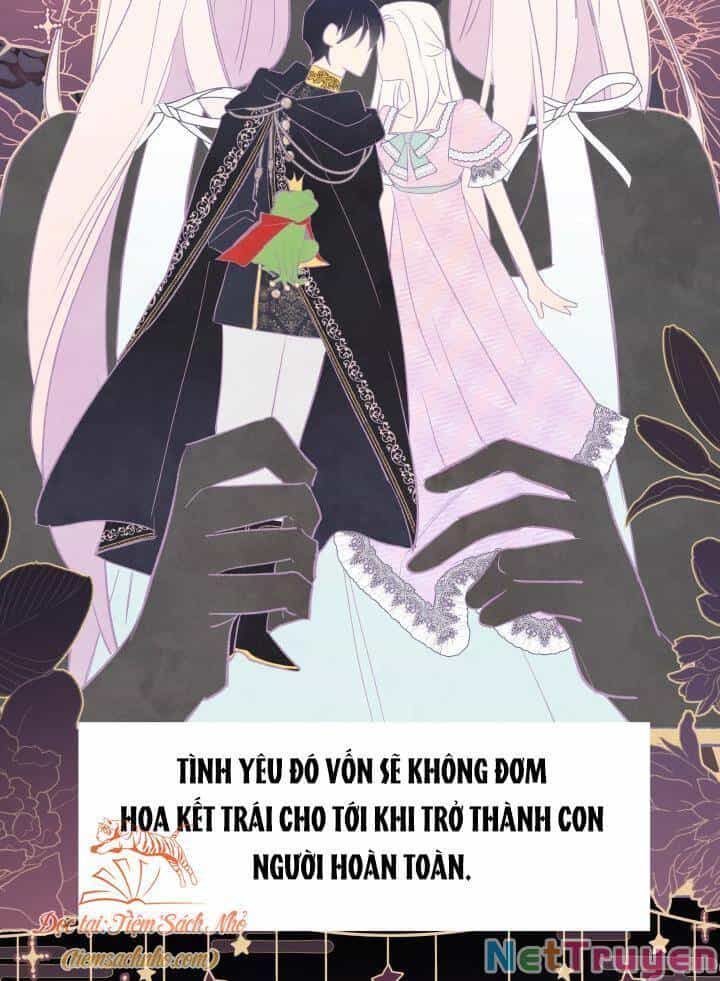 Mối Quan Hệ Cộng Sinh Giữa Báo Đen Và Thỏ Trắng - Chương 72 - ảnh 21