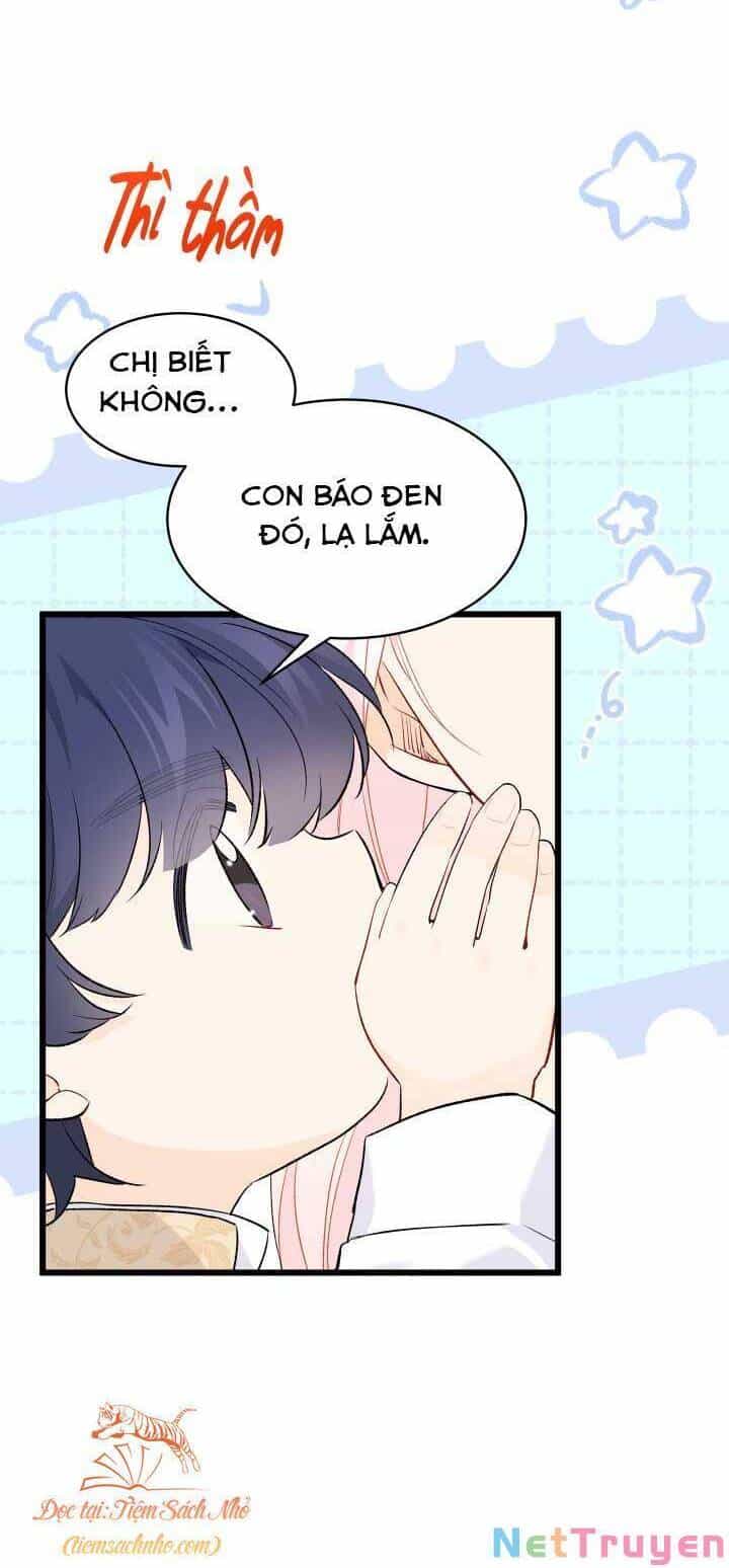 Mối Quan Hệ Cộng Sinh Giữa Báo Đen Và Thỏ Trắng - Chương 74 - ảnh 51