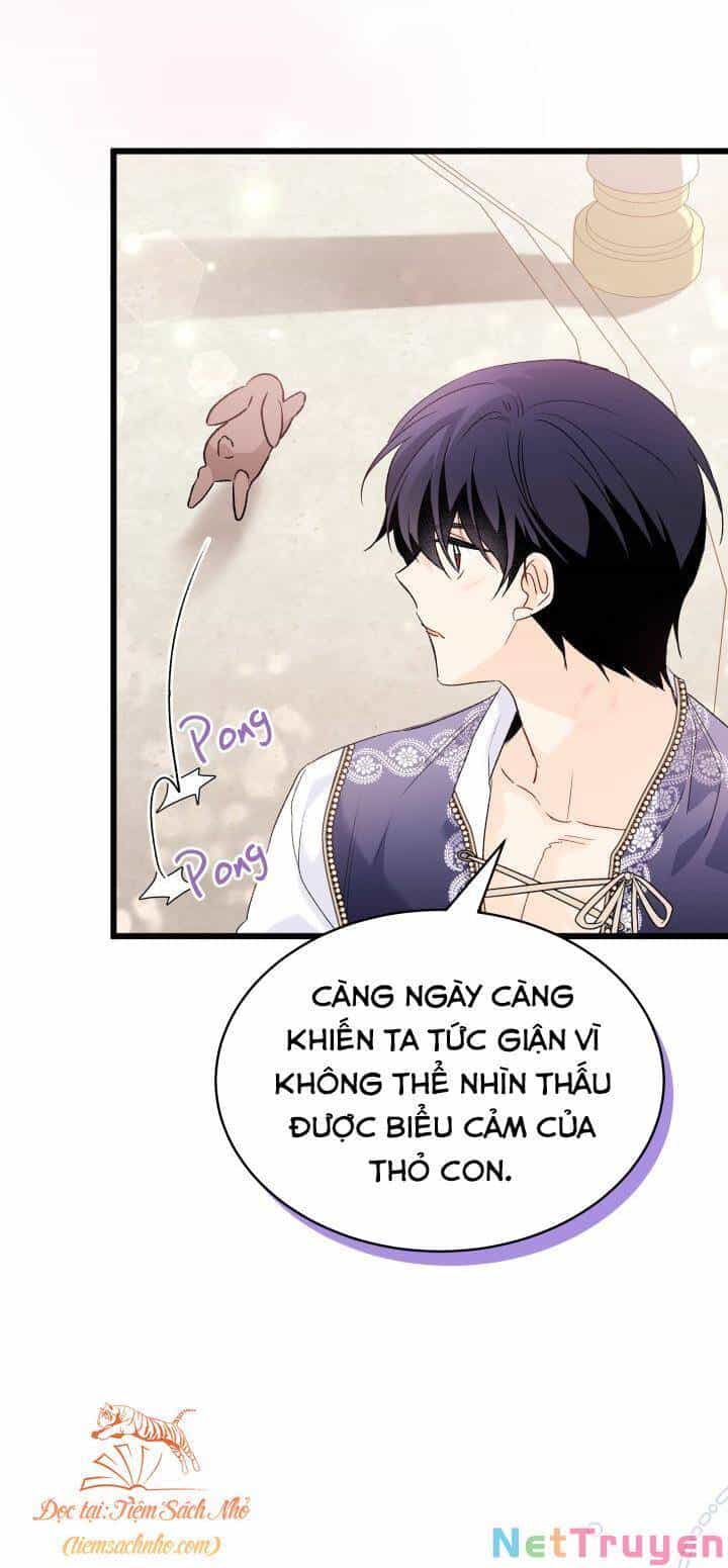 Mối Quan Hệ Cộng Sinh Giữa Báo Đen Và Thỏ Trắng - Chương 76 - ảnh 23