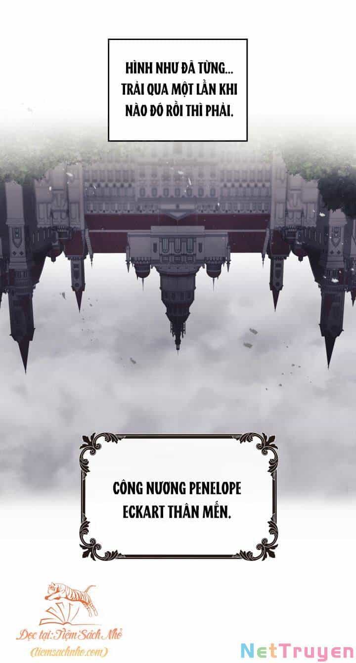 Mối Quan Hệ Cộng Sinh Giữa Báo Đen Và Thỏ Trắng - Chương 79 - ảnh 96