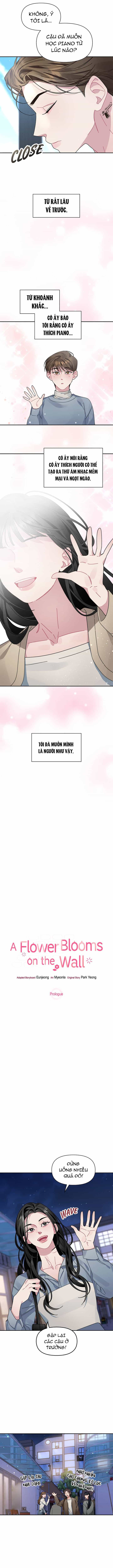 Một Bông Hoa Nở Trên Tường - Chương 1 - ảnh 3