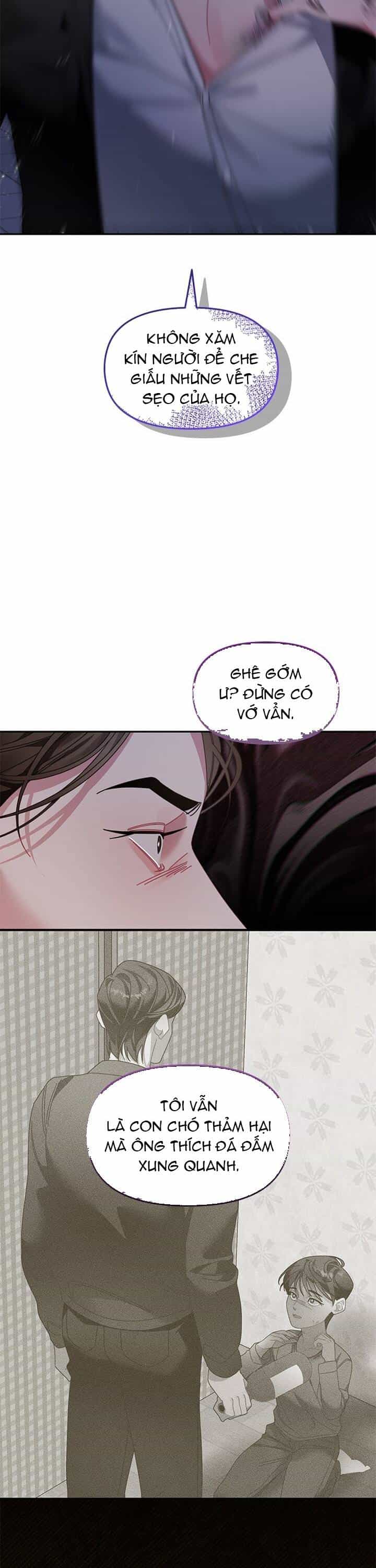 Một Bông Hoa Nở Trên Tường - Chương 13 - ảnh 20