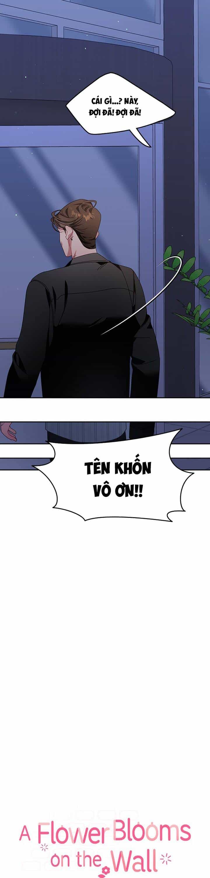 Một Bông Hoa Nở Trên Tường - Chương 13 - ảnh 27