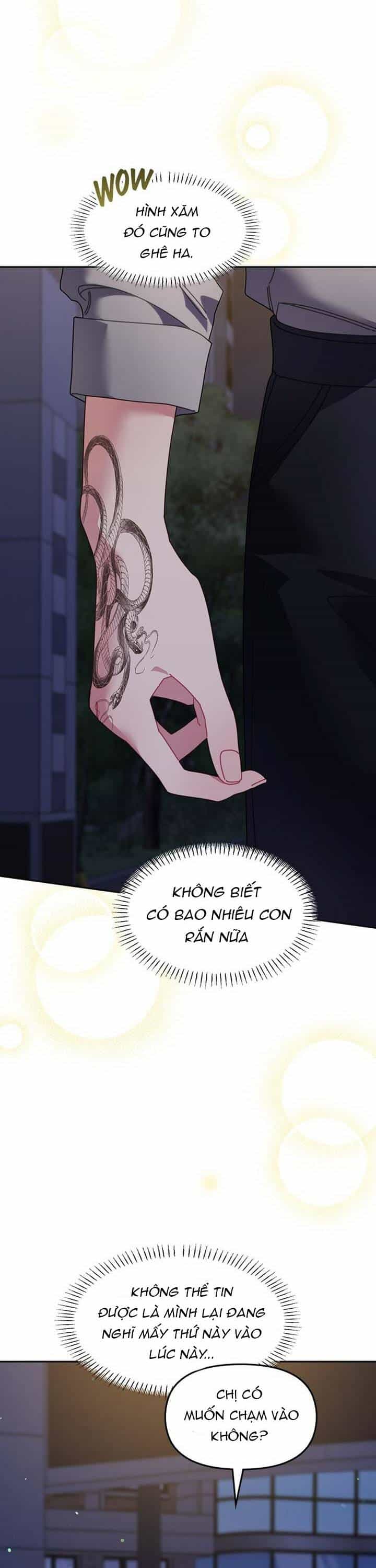 Một Bông Hoa Nở Trên Tường - Chương 21 - ảnh 13
