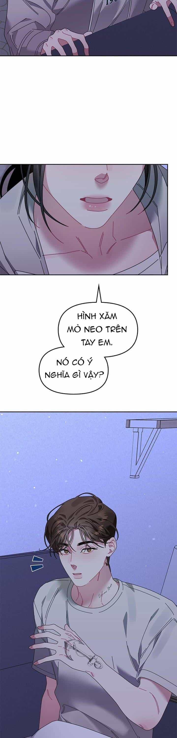 Một Bông Hoa Nở Trên Tường - Chương 23 - ảnh 16