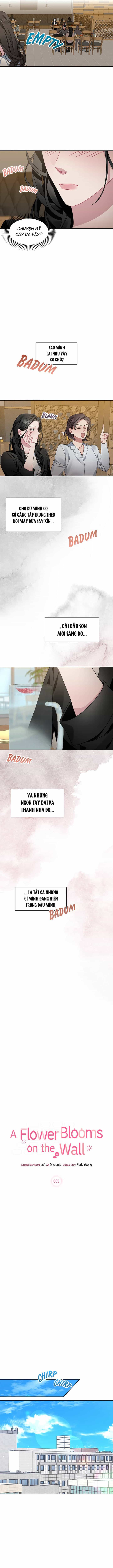 Một Bông Hoa Nở Trên Tường - Chương 4 - ảnh 2