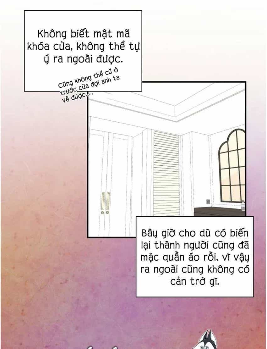 Một Cuộc Sống Kỳ Lạ - Chương 17 - ảnh 11