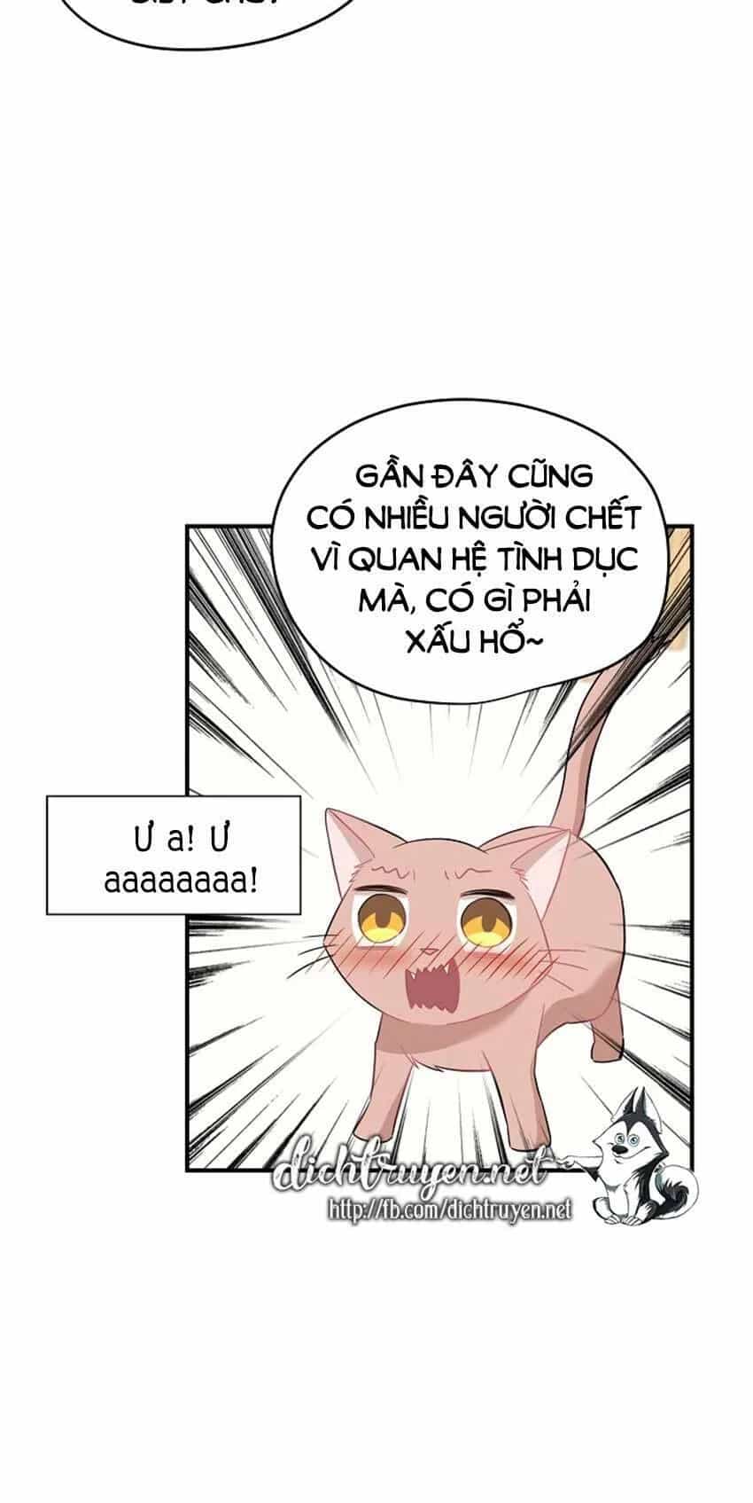 Một Cuộc Sống Kỳ Lạ - Chương 22 - ảnh 11