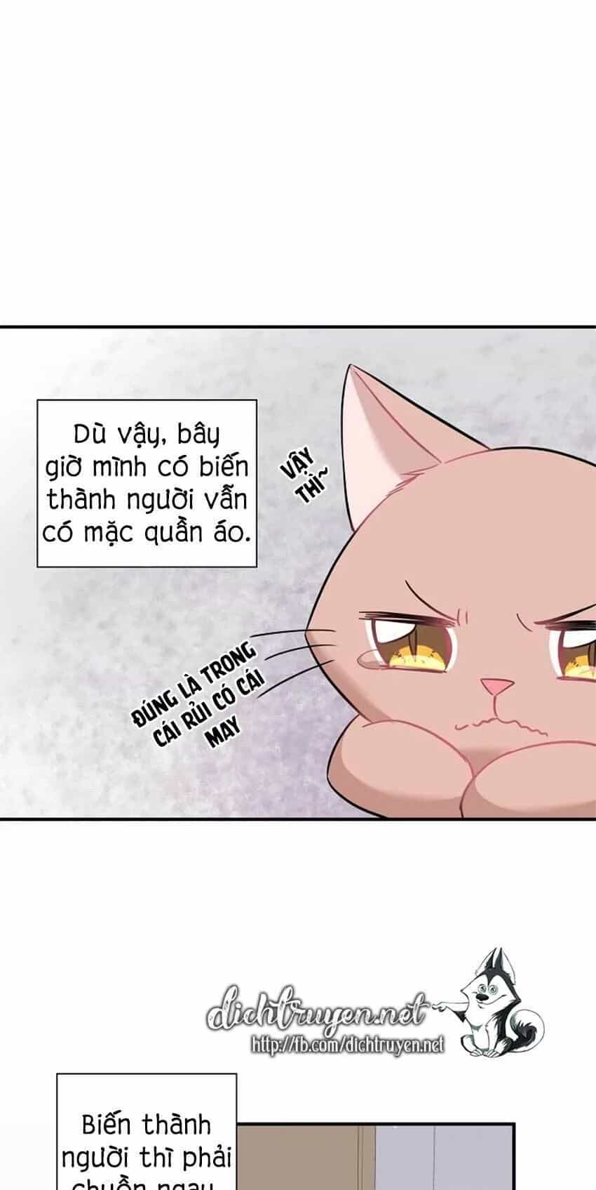 Một Cuộc Sống Kỳ Lạ - Chương 22 - ảnh 16